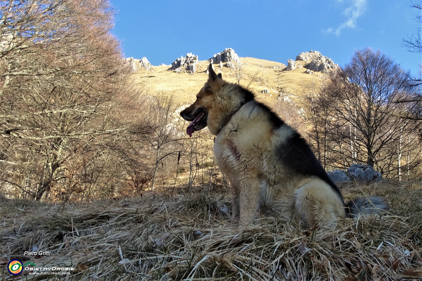 17 Usciti dal bosco comincia la salita sul sent. 7 - Grignetta-Cresta Cermenati.JPG